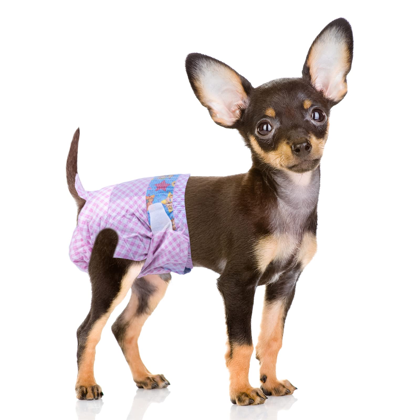 Flying Paws Disposable Female Dog Diapers, Puppy Diapers With Adjustable Elastic Waistline For Female Dog Or Cat In Heat, Incont