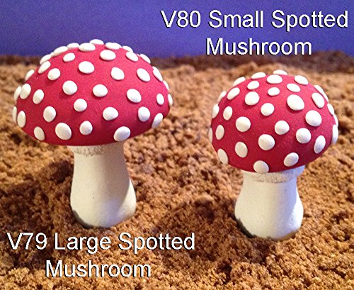 Scott Clark Woolley Small Spotted Toadstool Mold