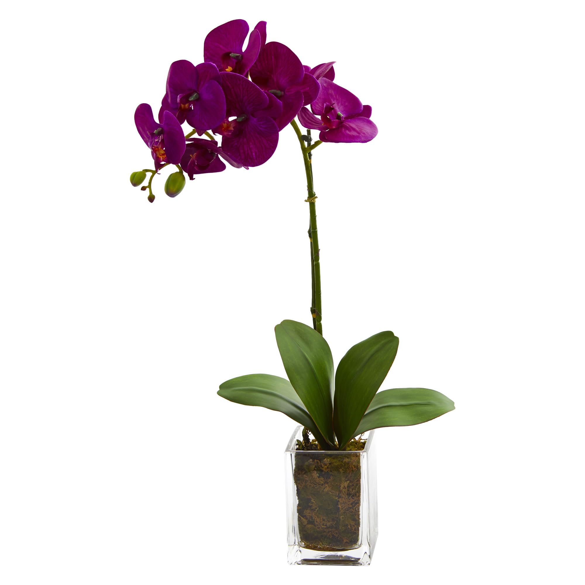Nearly Natural 24-in. Orchid Phalaenopsis Artificial Vase Silk Arrangements, Mauve
