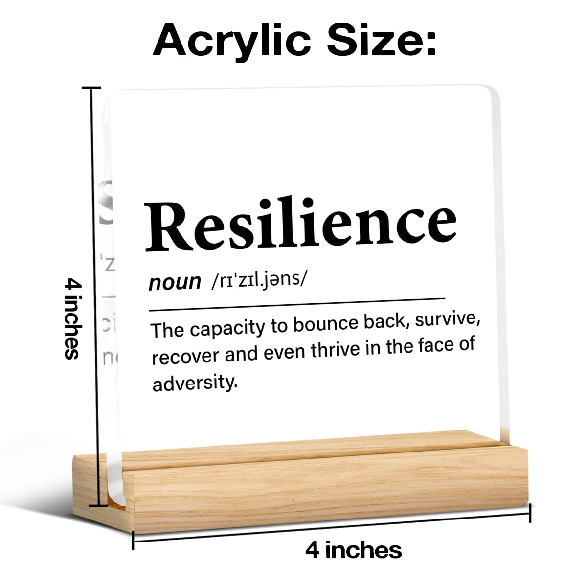 Inspirational Gifts for Women Men, Motivational Encouragement Gifts Resilience Definition Clear Acrylic Desk Decor Decorative Si