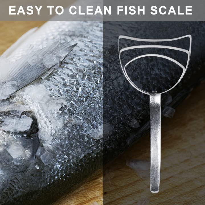 Bolexino Professional Square Stainless Steel Bone Dust Scraper- Catering Kitchenware Square Bone Dust Remover (2 Pack)