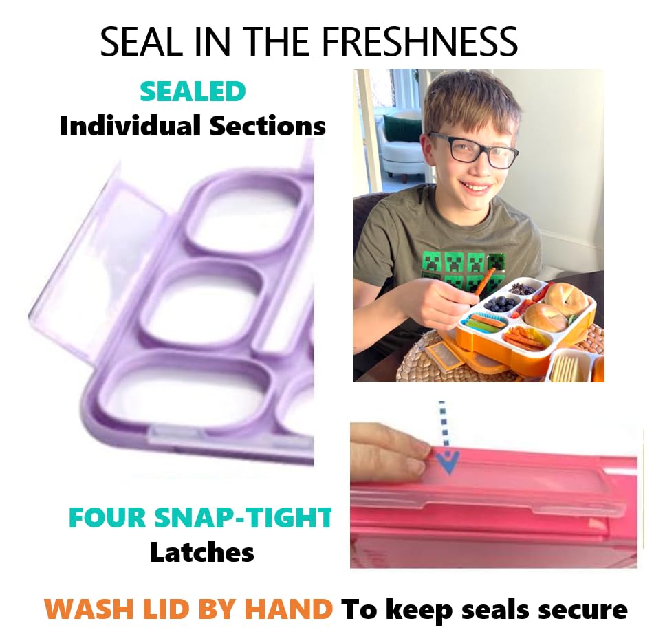 6 Compartment Lunch Boxes. Bento Box Lunchbox Snack Containers For Kids, Boys Girls Adults. School Daycare Meal Planning Portion