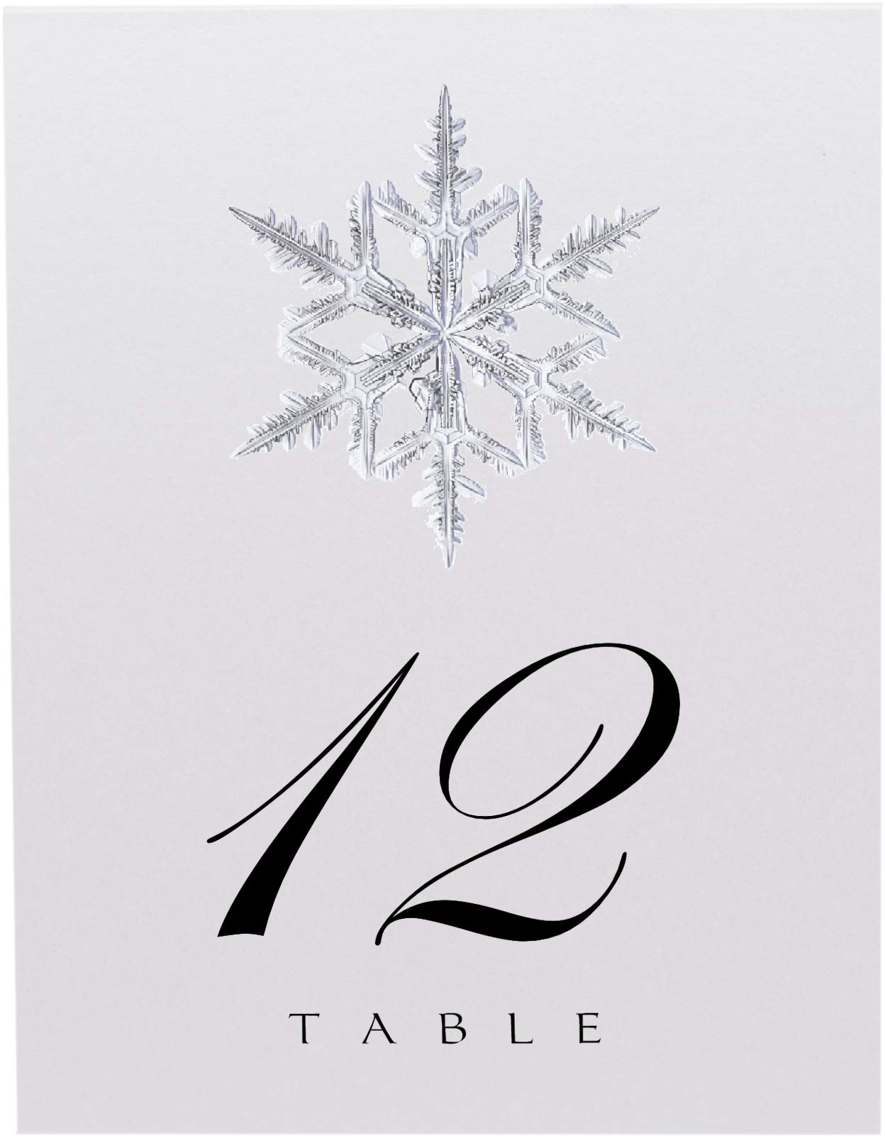 Christmas And Holiday Snowflake Wedding Table Numbers, 1-25, Double Sided, Tent Or Use In A Stand, Great For Parties & Restauran