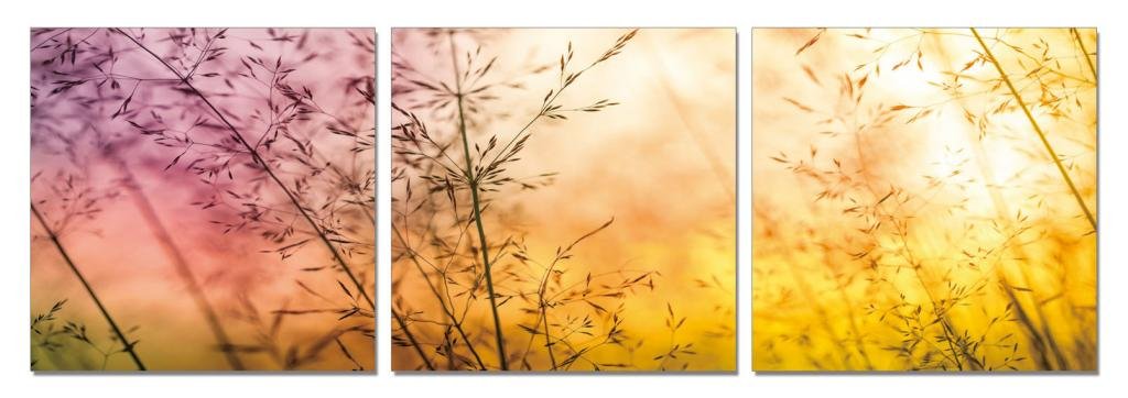 Go Hooked Mdf Wall Painting/Hanging Art/Home Decor (28 Cm X 9 Cm X 28 Cm, 3 Frames, Mdf3Sb-61004)