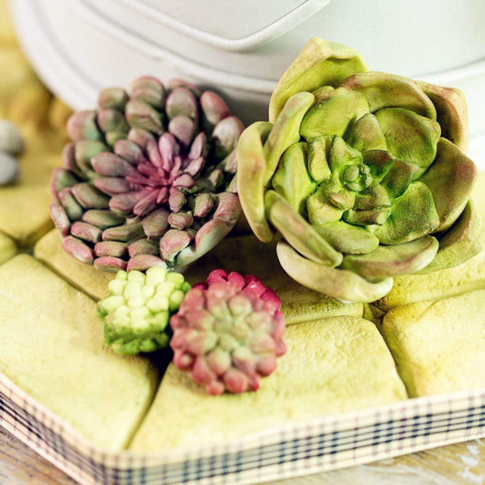 Laventy 2 Pcs Cactus Silicone Mold Cacti Fondant Mold Succulent Leaves Candy Molds Cactus Gumpaste Mold For Cupcake Cake Polymer