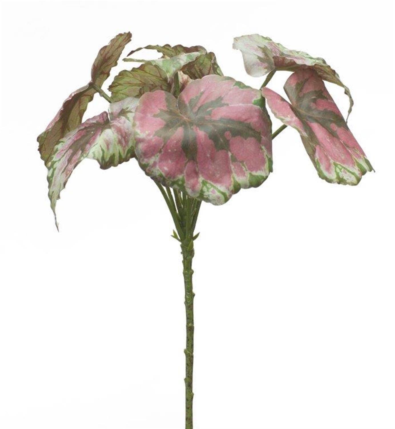 Melrose International Modern Home Decoration Begonia Leaf (Set of 2) 11.5 H Polyester
