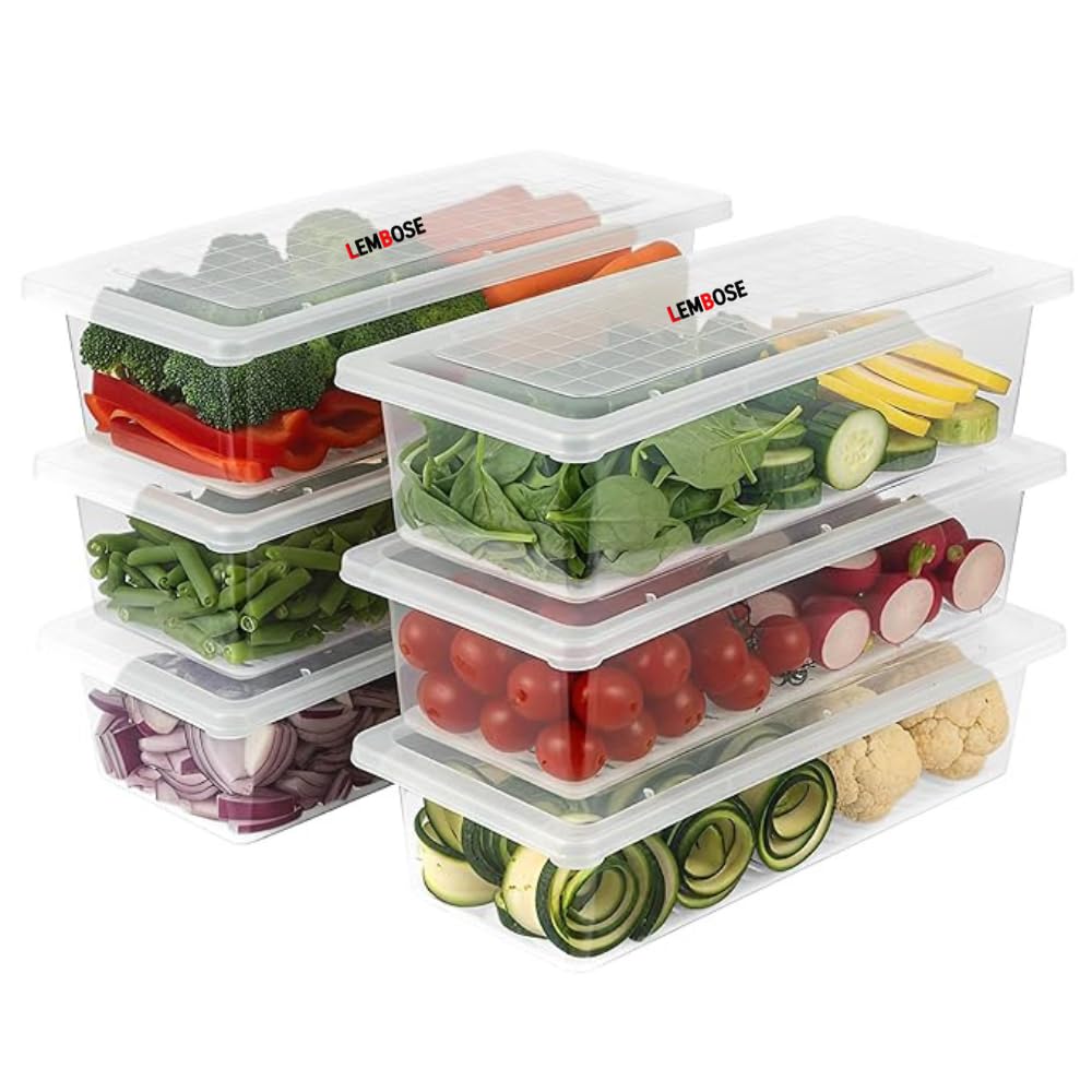 Lembose Fridge Storage Refrigerator Organizer Container Square Handle Food Storage (PackOf6)