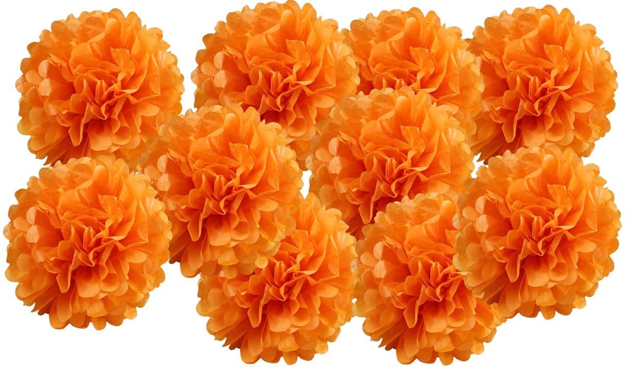 Pack Of 10 Tissue Paper Flower Ball Pom Pom Party Decoration Indoor Outdoor 6'' 8'' 10'' 12'' 14'' (Orange, 10'')