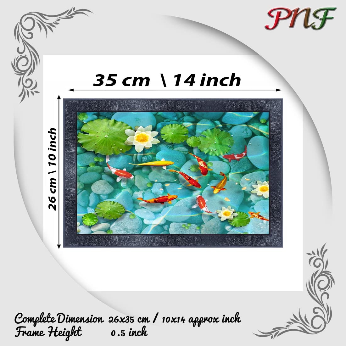 pnf Poster And Frames Fish Wall Painting With Acrylic Sheet | For Living Room, Bedroom | Home Decoration Item | Best Gifting Opt