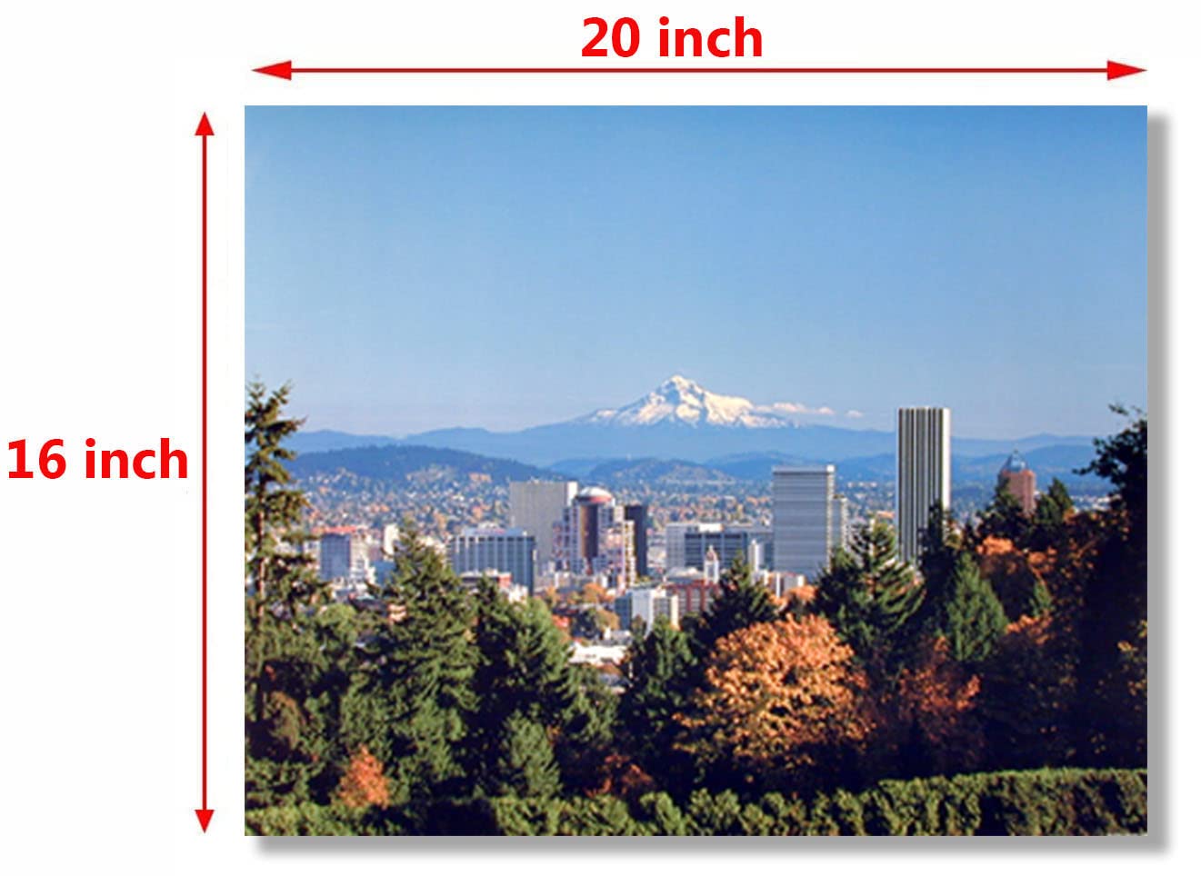 Impact Posters Gallery Portland Rose Garden Wall Decor Nature Art Print Picture Poster (16X20)