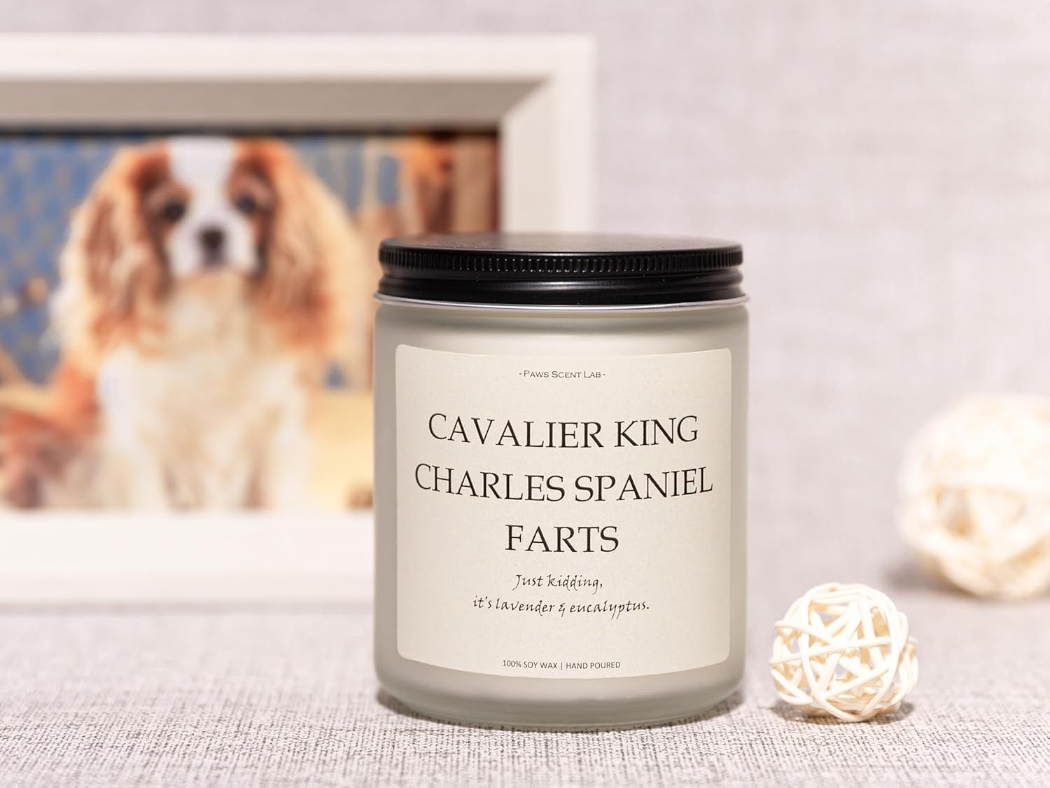 Cavalier King Charles Spaniel Gifts & Decor Cavalier King Charles Spaniel Gifts for Women, Dog Farts Candle, Dog Mom Gifts for W