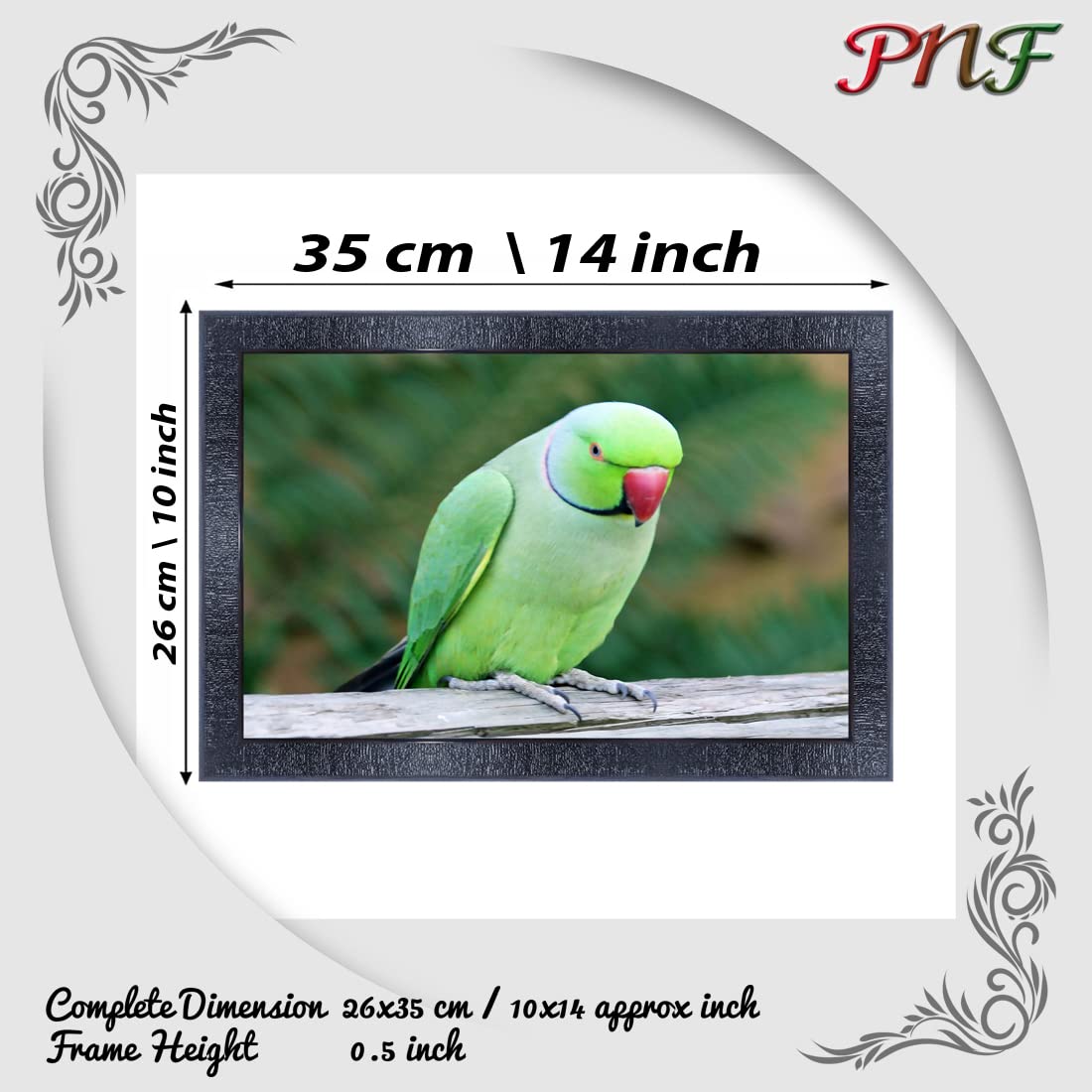 pnf Poster And Frames Parrot Framed Wall Painting | For Living Room, Bedroom | Home Decoration Item | Best Gifting Option (10 *
