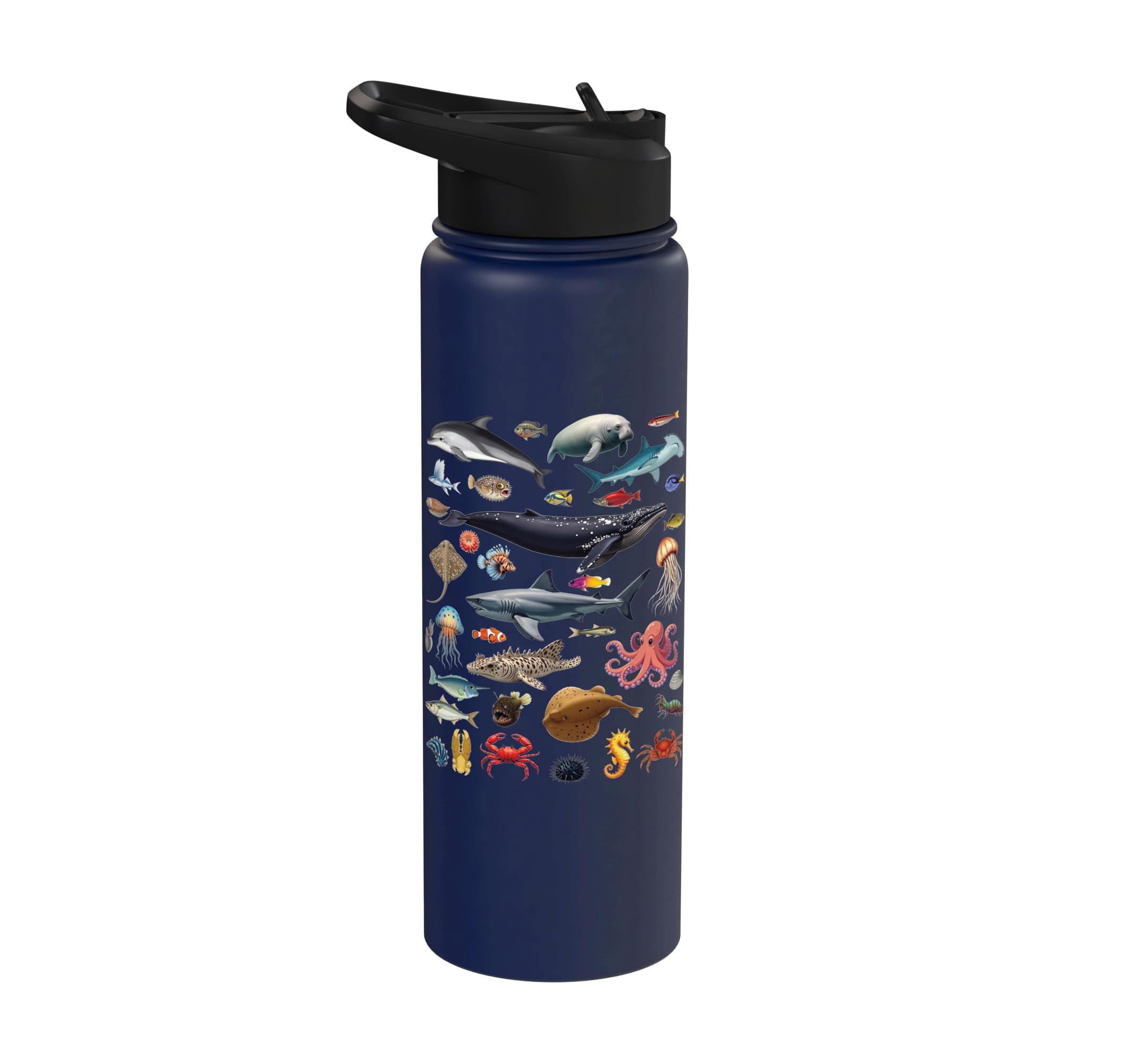 Ocean Creatures Ocean Life Exploration Sea Animals Wildlife Stainless Steel Insulated Water Bottle