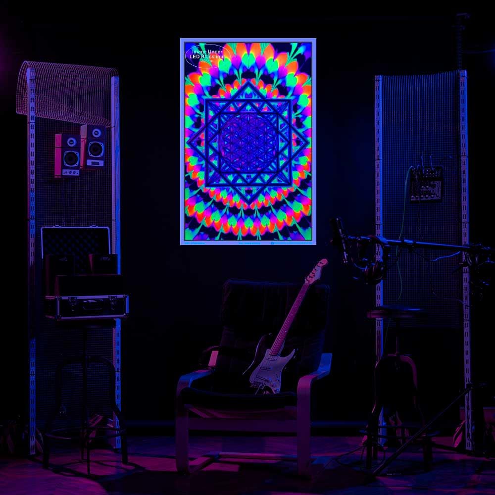 Scorpio Posters Sacred Geometry Laminated Blacklight Poster 23.5" x 35.5" - White