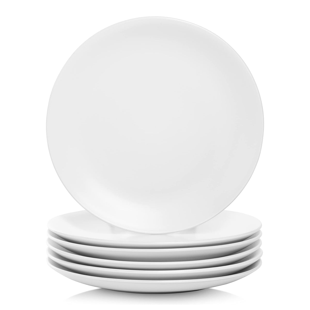 10 Strawberry Street Wazee Matte 10.5 '' Coupe Dinner Plate, Set Of 6, White