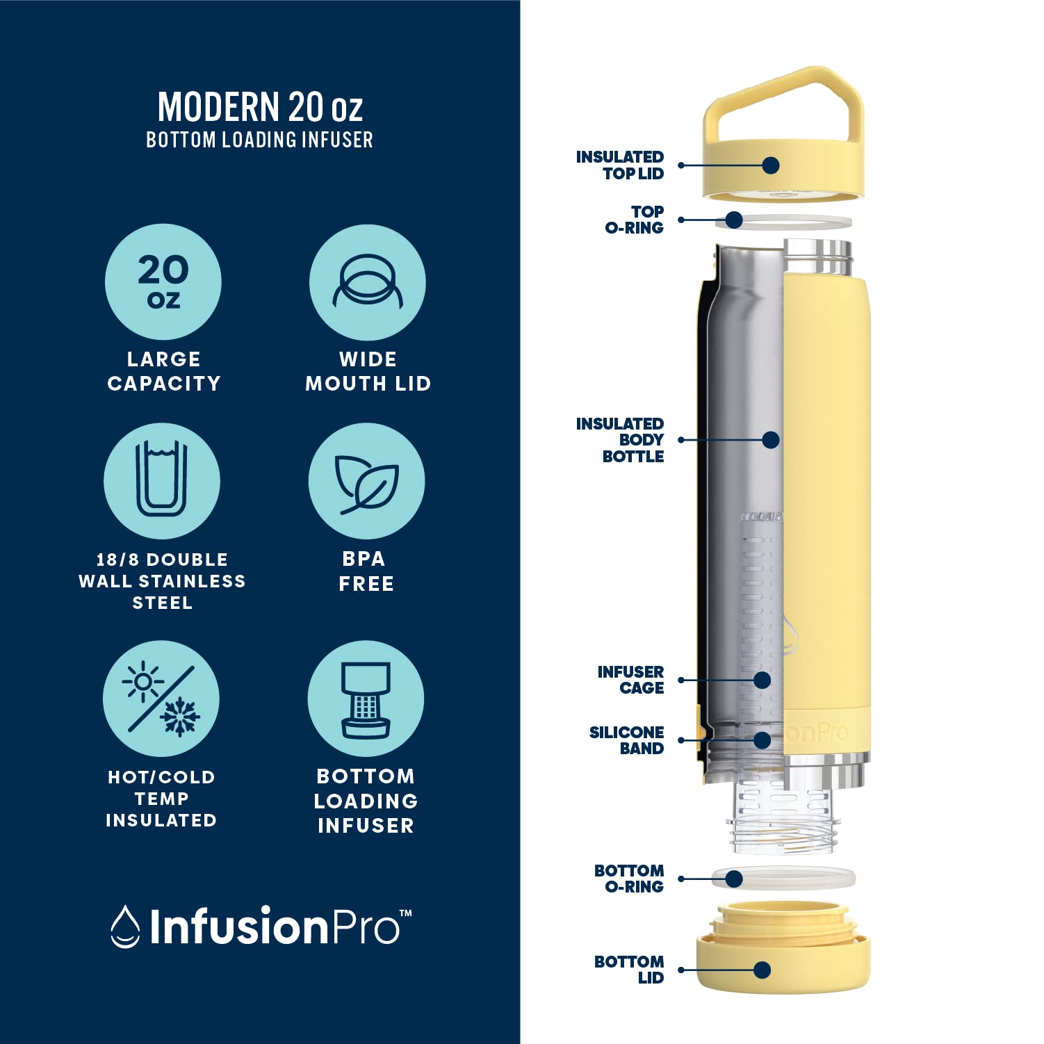 Infusion Pro Fruit Infuser Water Bottle Vacuum Insulated (20 Oz) Stainless Steel : Includes Recipe Ebook : Bottom Loading Water