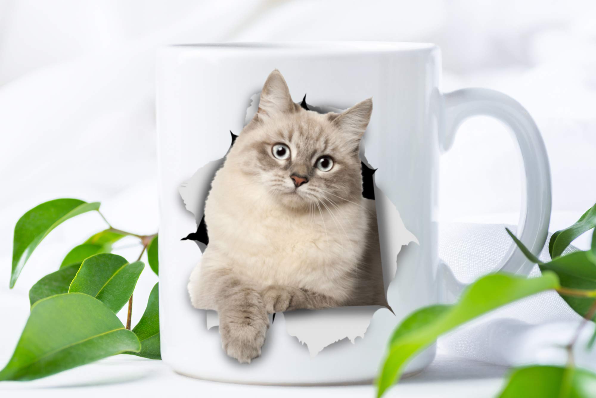 Siberian Cat Coffee Mug - Ceramic Funny Coffee Mug - Perfect Cat Lover Gift - Cute Novelty Coffee Mug Present - Great Birthday o