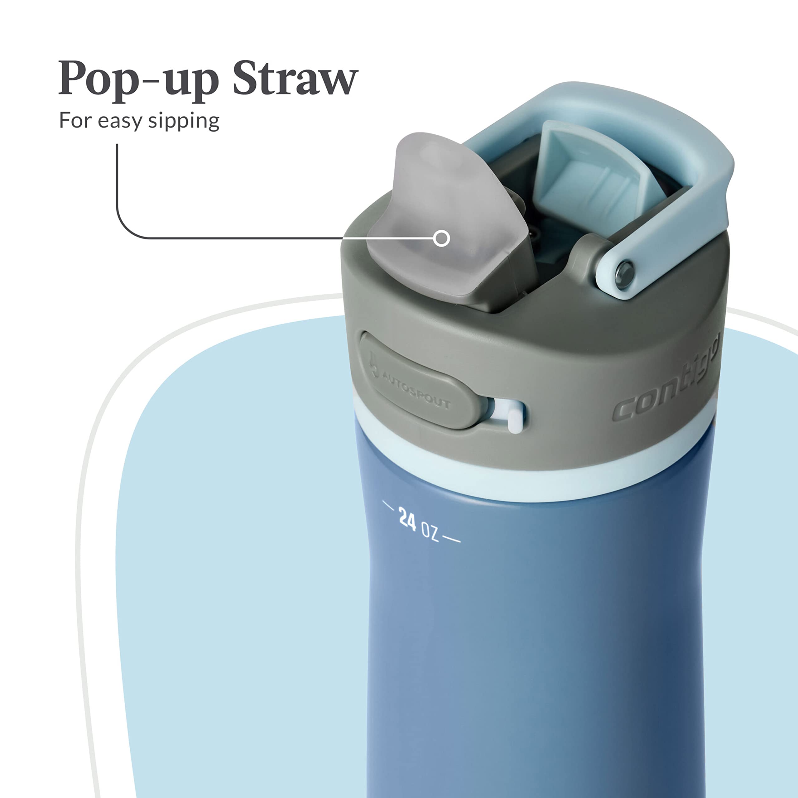 Contigo Wells Chill Stainless Steel Filter Water Bottle With Autospout Straw Lid, 24Oz., Dark Ice