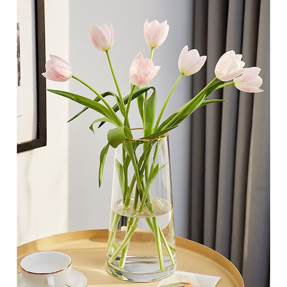FUNSOBA Clear Glass Flower Vase with Gold Mouth for Centerpieces Home Wedding Decoration (1, Large 5.2 x 9.9)
