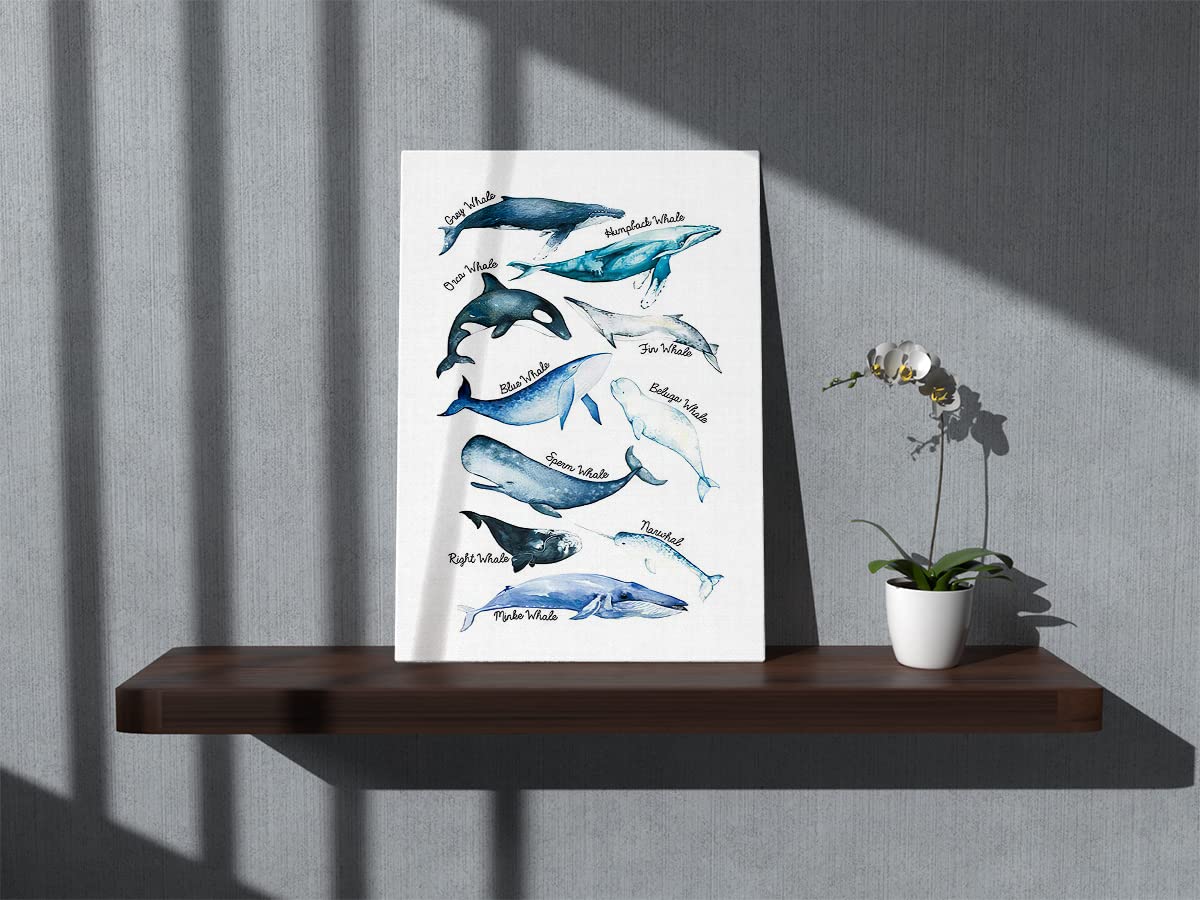 Sea Life Whale Educational Ocean Animal Chart Wall Art Canvas Farmhouse Whale Theme 11X14 Inch Prints Decor For Home Bedroom Liv