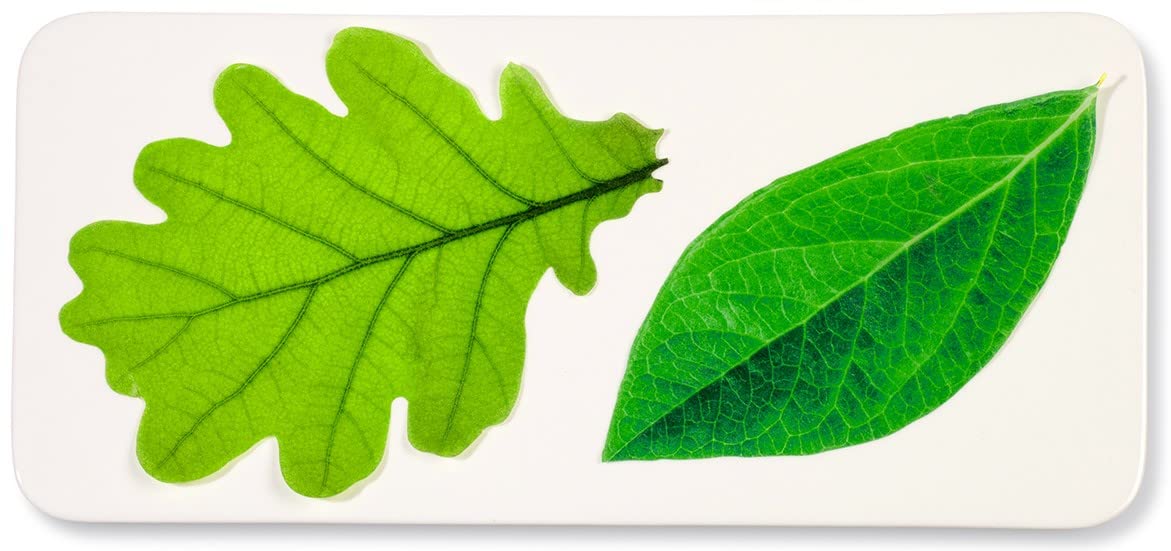 Parchment Paper Leaves For Cheese & Charcuterie Boards - Sisson Distribution Leaves (Pack Of 20) (Spring Leaves)