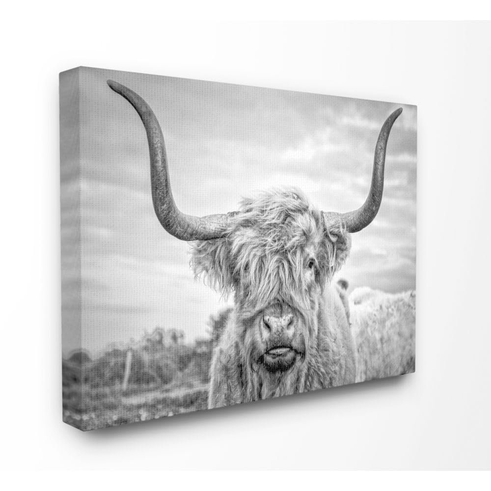 Stupell Industries Black And White Highland Cow Photograph Canvas Wall Art Design By Joe Reynolds 24 X 30