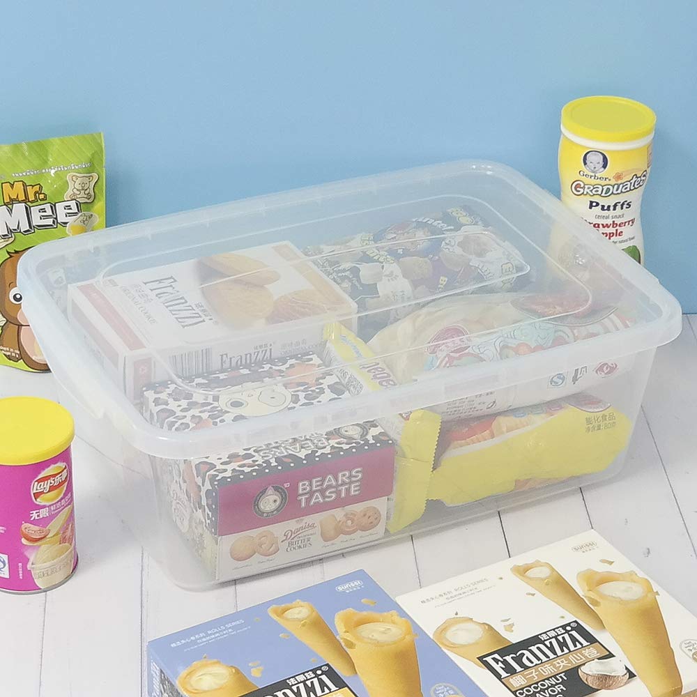 Farmoon 16 Quart Clear Storage Bin, Plastic Latch Containers/Boxes With Lid, 2 Packs