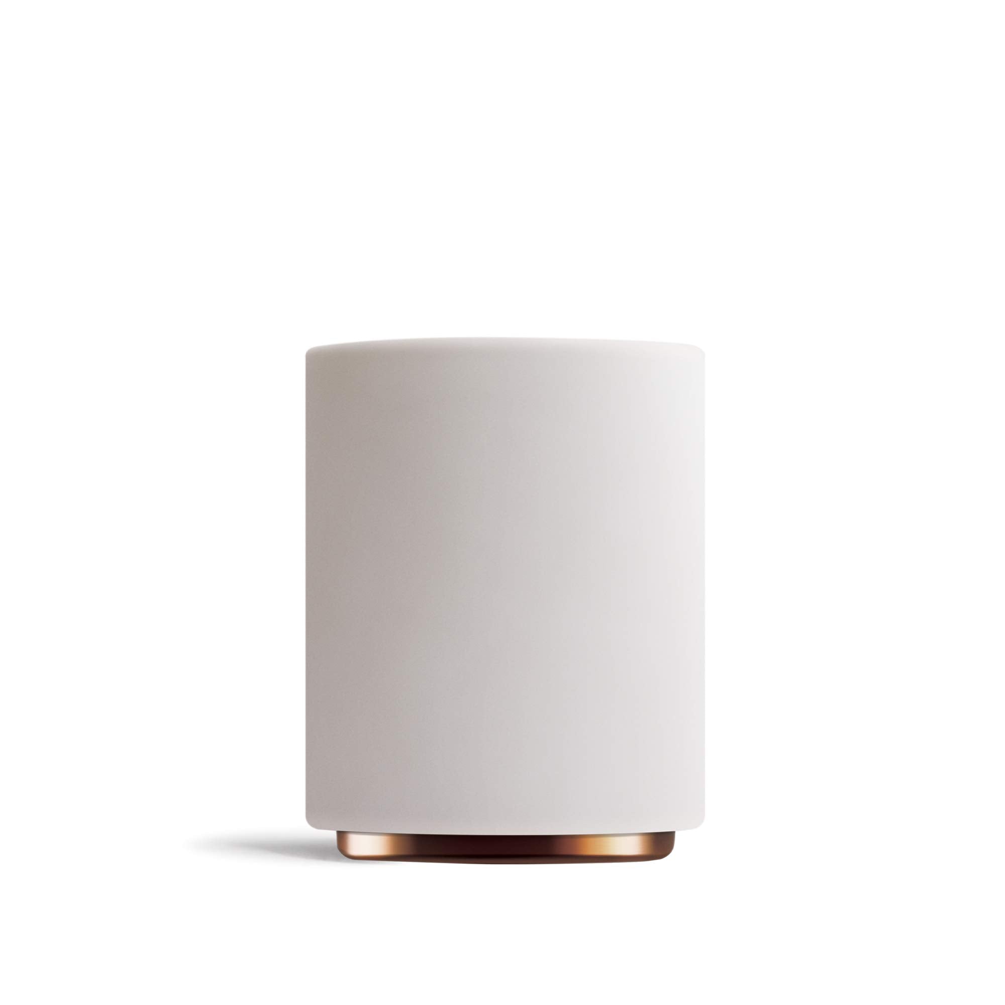 Fellow Monty Milk Art Cups - Double Wall Ceramic Latte Mug, Matte White with Copper Base, 11 oz Cup, 1 Count (Pack of 1)