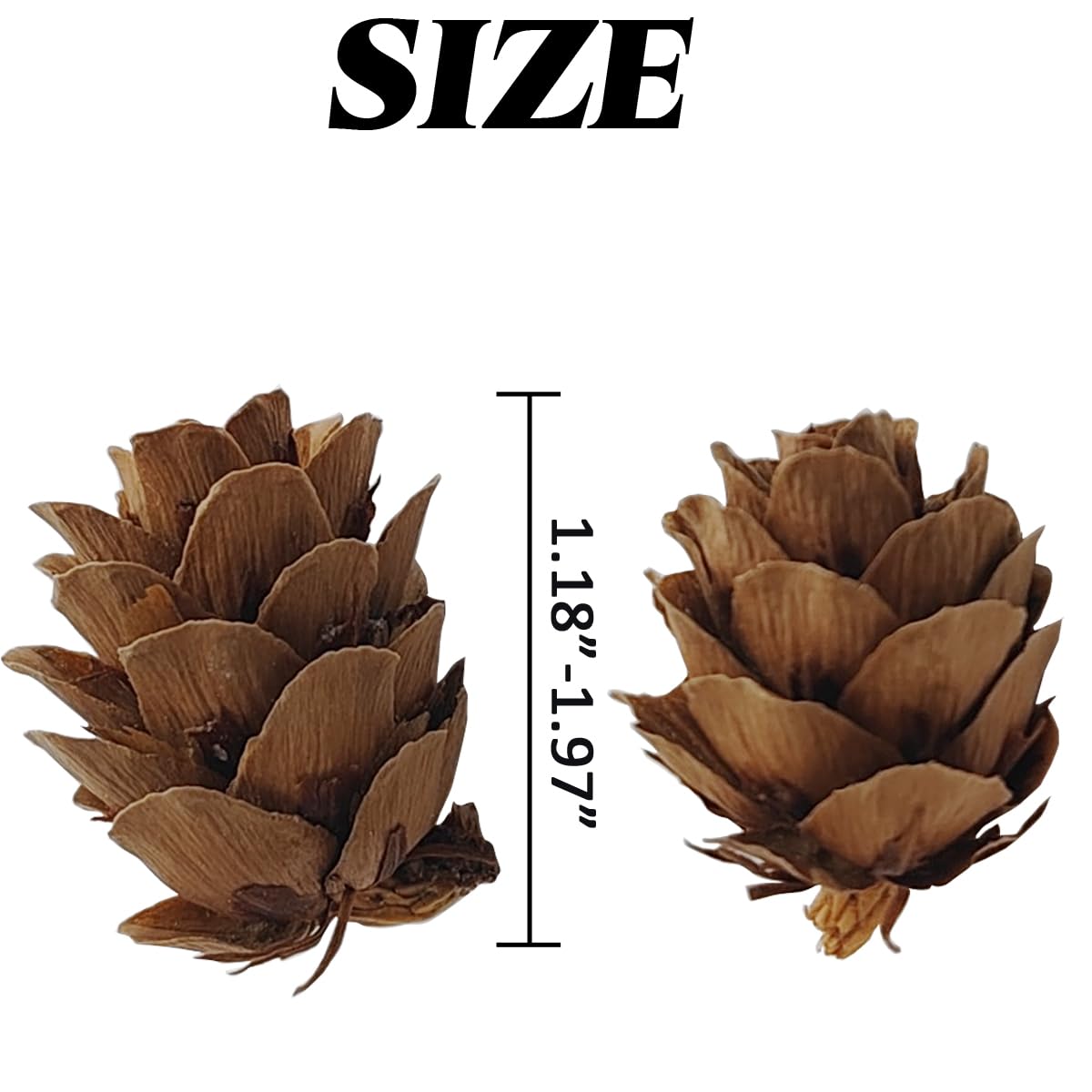 TIHOOD 160PCS 1.18-1.97 Christmas Natural Mini Pine Cones-Thanksgiving Pine Cones Ornaments for DIY Crafts, Home Decorations,Fal