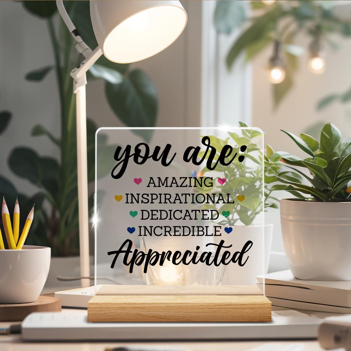 Appreciation Gifts for Men Women, Thank You Gifts for Mentor Leader Coach Boss Colleague, Acrylic Desk Sign Decor