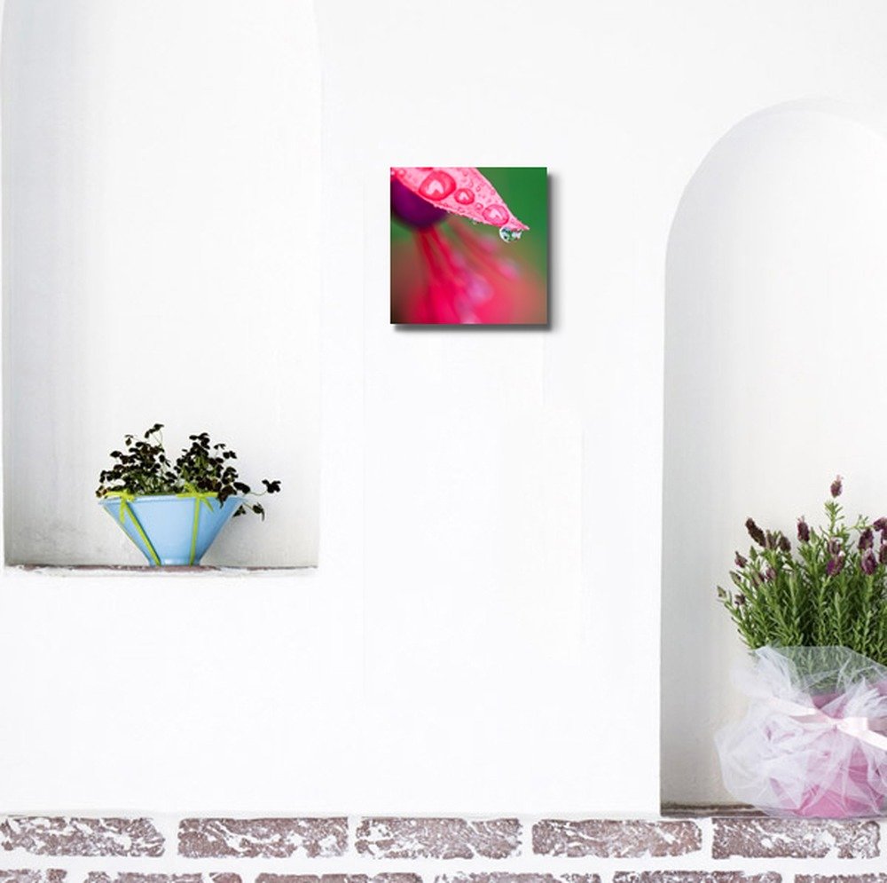 Canvas Prints Wall Art - Close-Up Of Raindrops On A Red Fuchsia Flower | Modern Wall Decor/Home Decoration Stretched Gallery Can