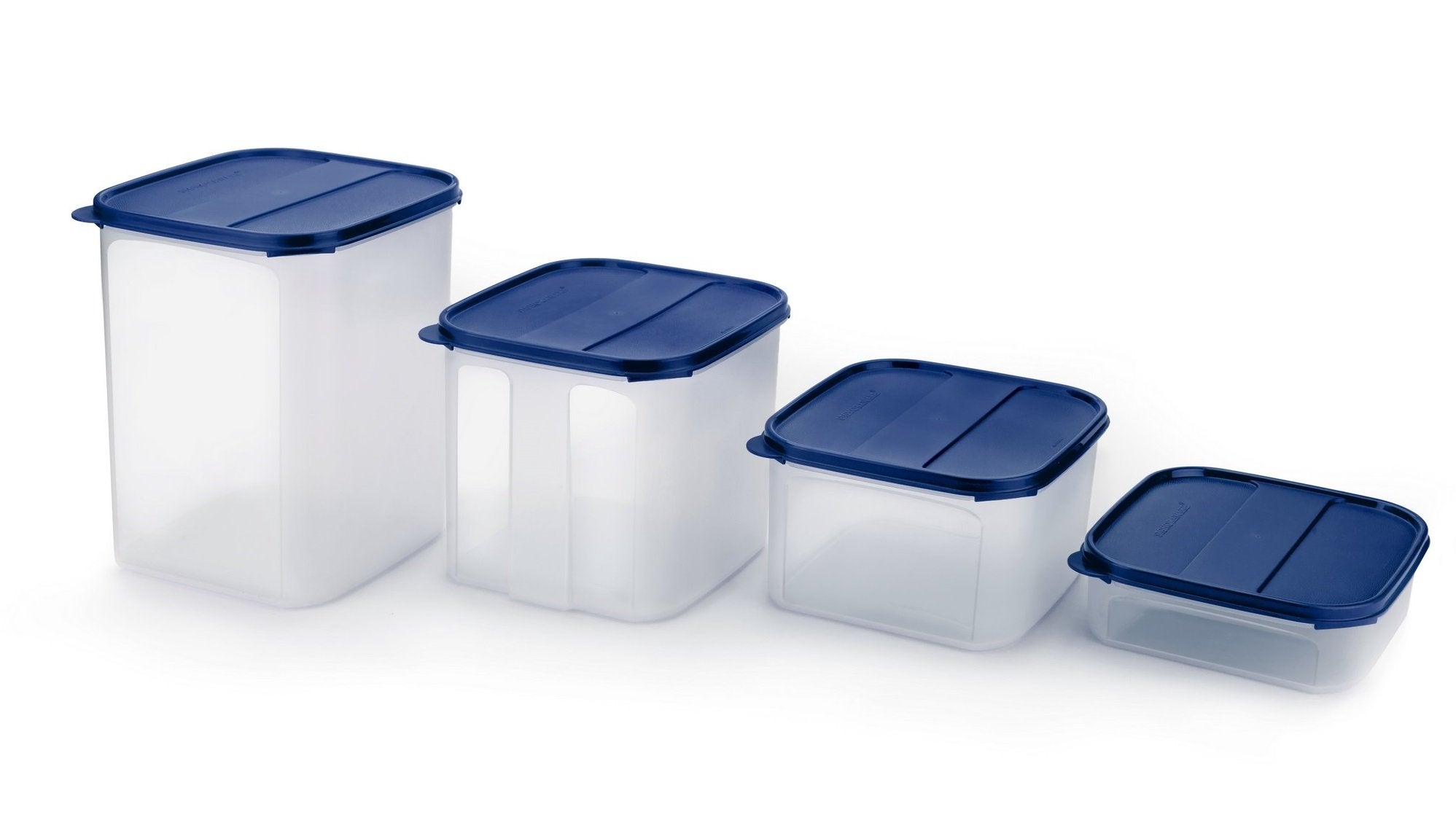 Signoraware Easy To Organise Plastic Container Set, 4-Pieces, Blue