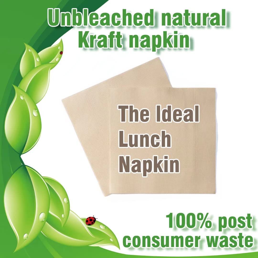 Recycled Post Consumer Napkins  Compostable Unbleached Eco Lunch Napkins  50 PCS Disposable Dinner Napkin