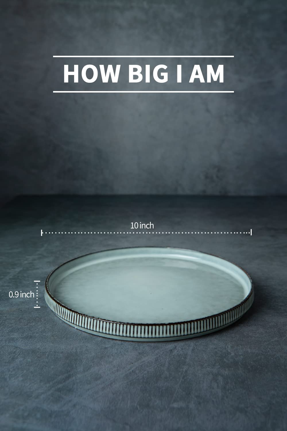 Famiware Star Dinner Plates For 6, 10 Inches Plate Set, Scratch Resistant, Stoneware Dinnerware, Kitchen Modern Rustic Serving D