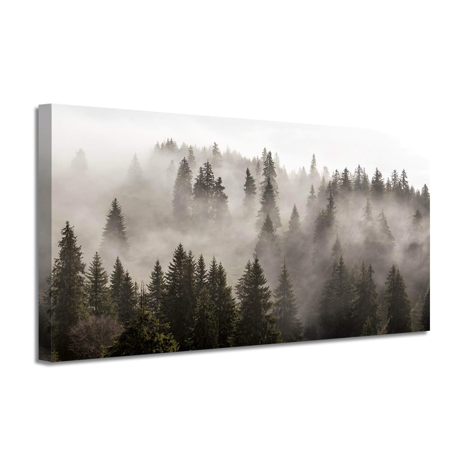 Artistic Path Foggy Forest Canvas Wall Art: Landscape Mountain Artwork Photographic Print Pictures For Bedrooms (40'' W X 20'' H