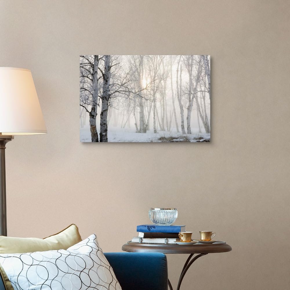 Canvas On Demand Ontario, Canada, Birch Trees In The Fog Canvas Wall Art Print By Susan Dykstra, Home Decor, Winter Artwork, 30'