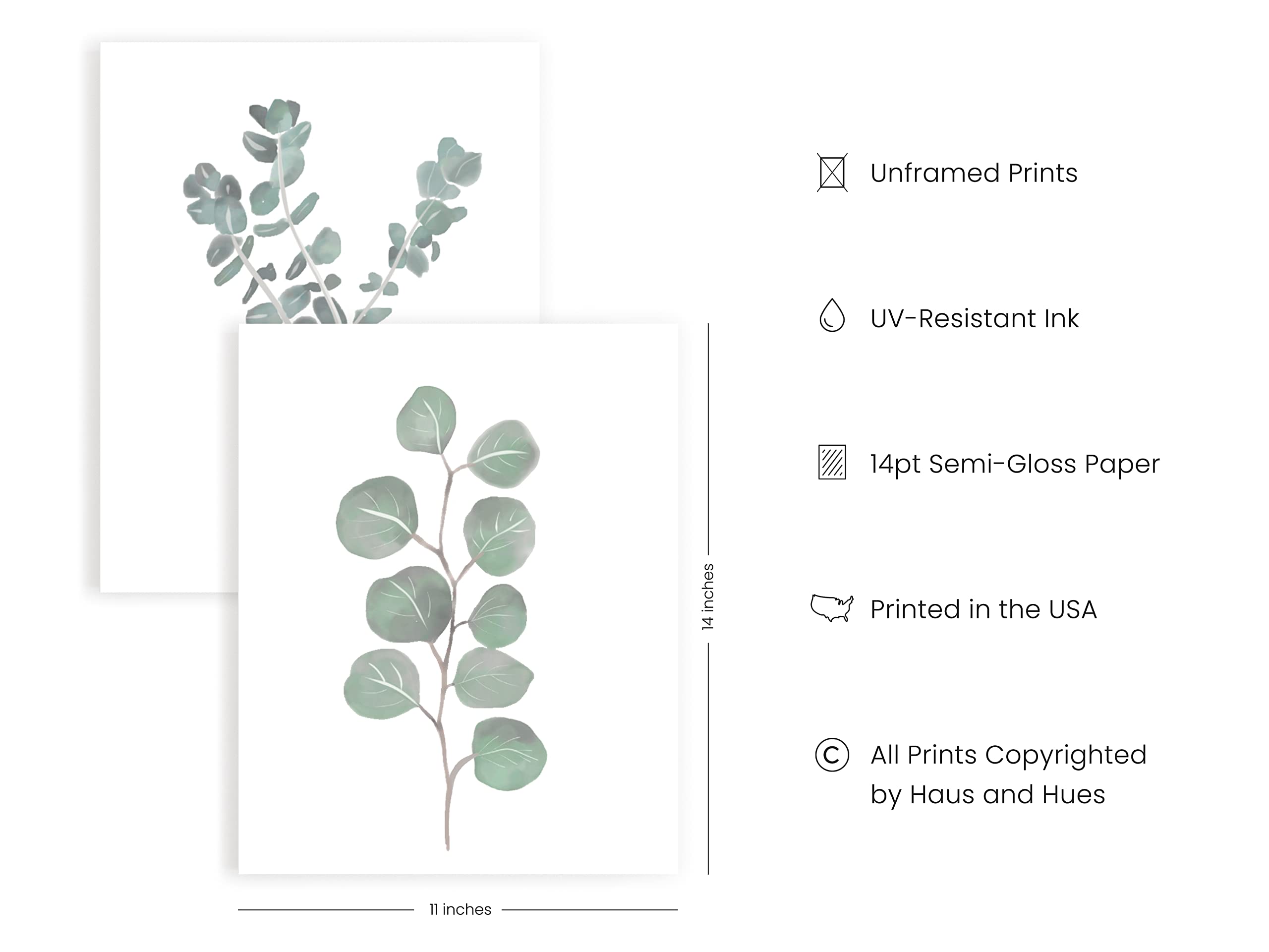 Haus And Hues Leaf Prints Botanical Wall Decor,Botanical Art Prints & Eucalyptus Leaves Wall Decor, Botanical Prints Wall Art, E