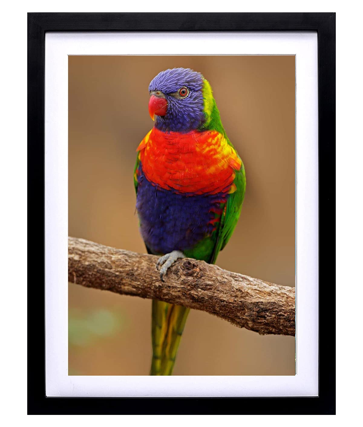 Mxtallup 14x18 Diamond Painting Frames Wood,Display Pictures 12x16 Inch/30X40 cm with Mat or 14x18 Inch /35X45 cm Without Mat, D
