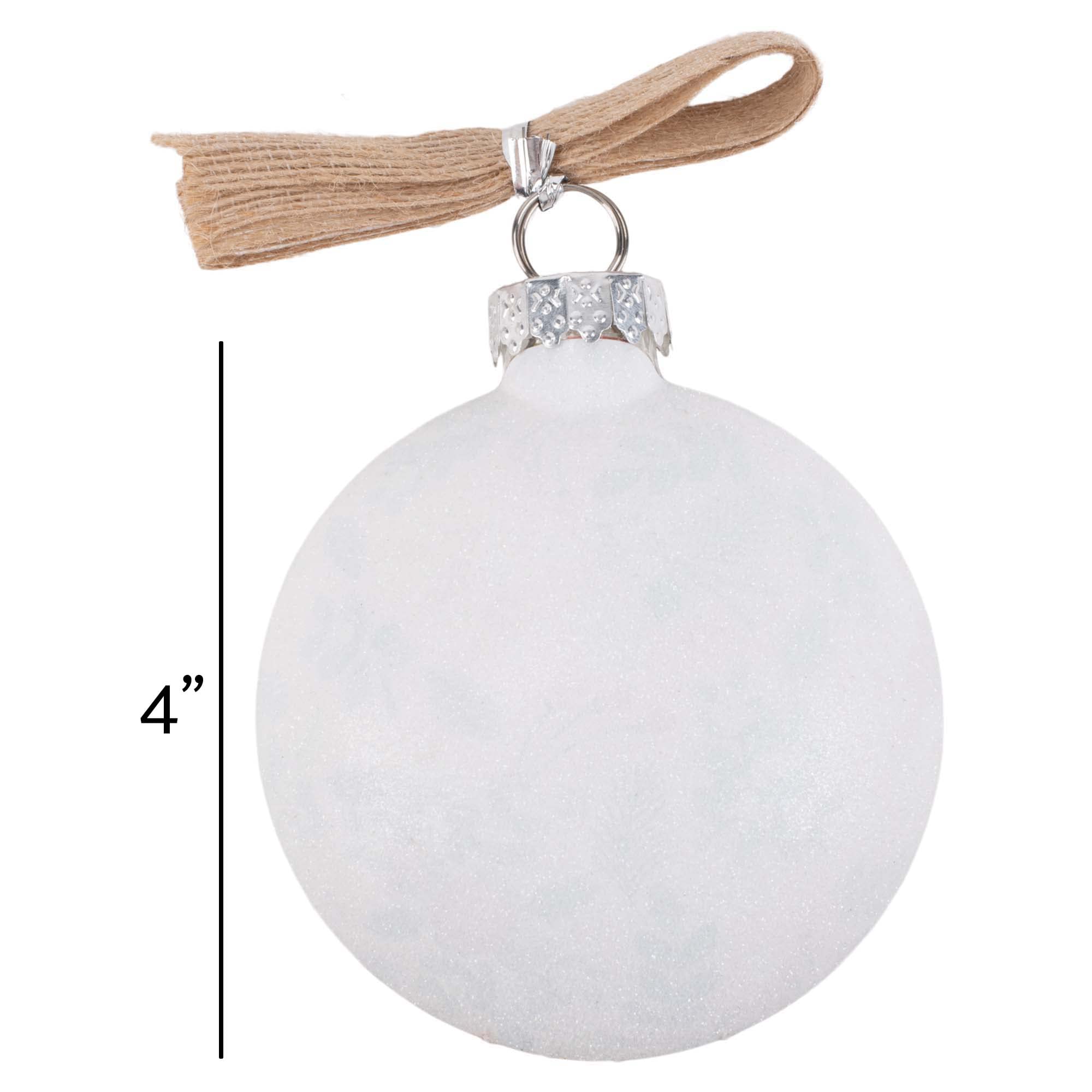 Elanze Designs Joy to The World Floral Pink 4 inch Glass Round Disc Christmas Ornament