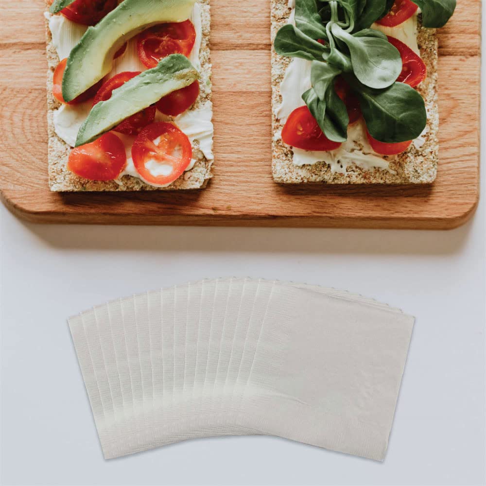 Jam Paper Medium Lunch Napkins - 6 1/2 X 6 1/2 - Silver - 50/Pack