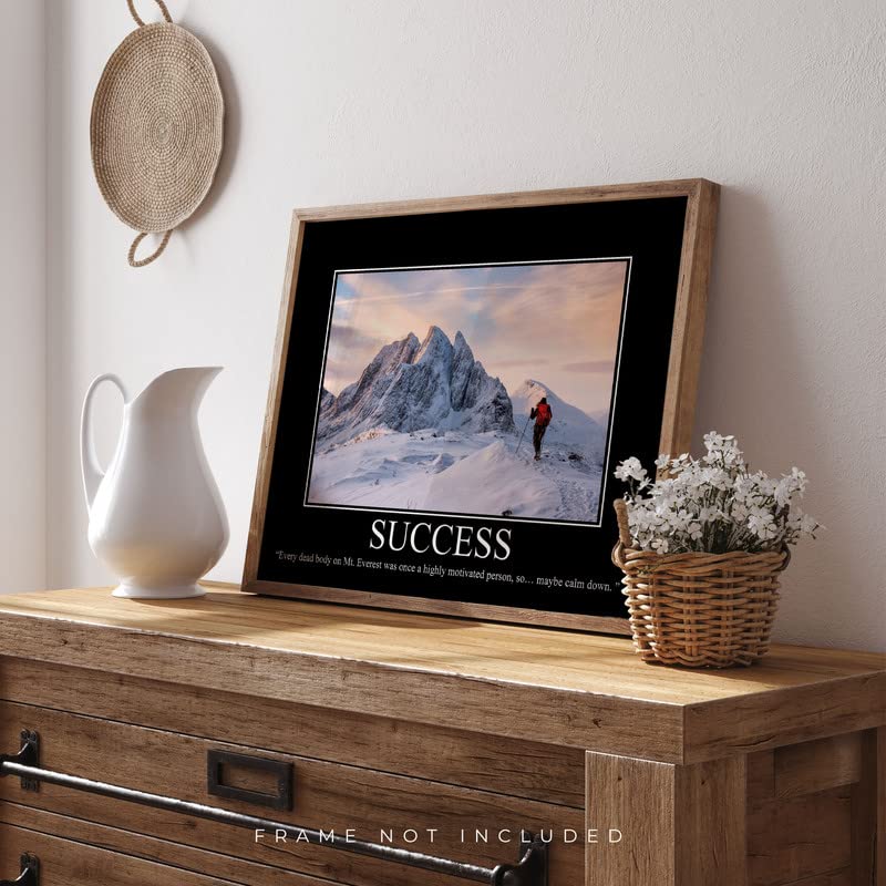 Success Demotivational Poster Snarky Ironic Funny Sarcastic Office Wall Decor Art Print 11X14 Inches Unframed