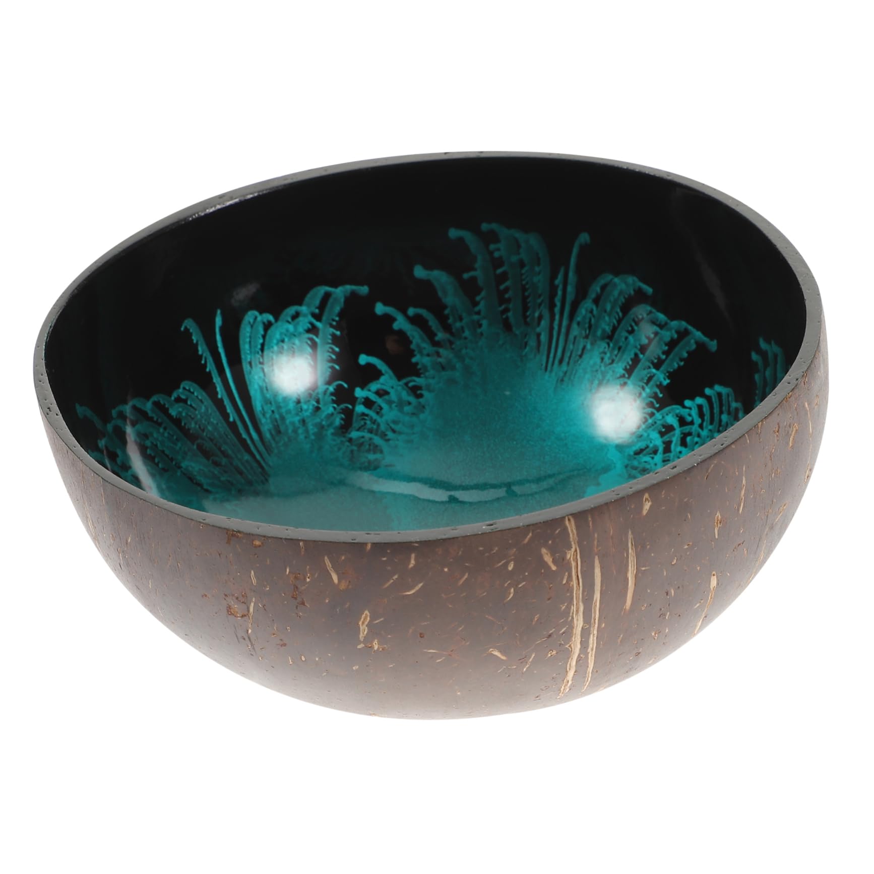 ORFOFE Offering Bowl Shell Key Holder Key Holder Bowl Coconut Storage Bowl Coconut Bowls Dessert Bowl Bowls for Food Desktop Org