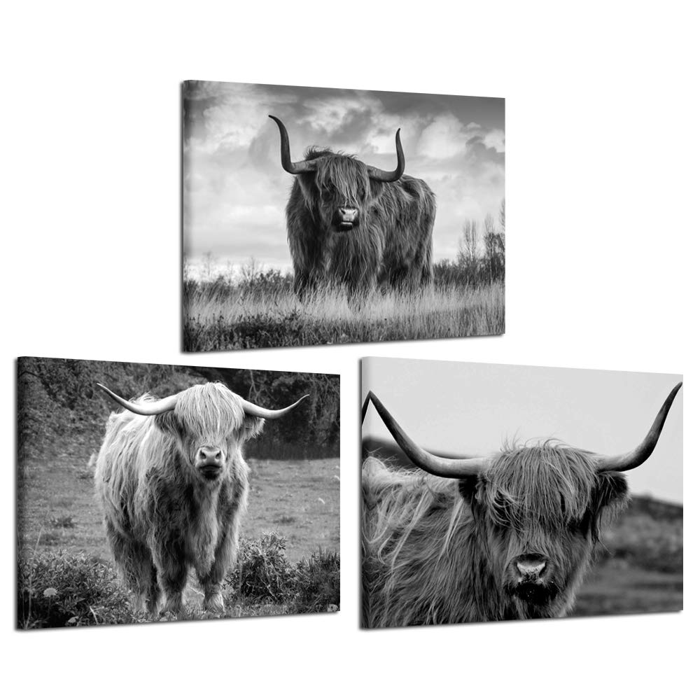 Iknow Foto Canvas Print Wall Art Black And White Freedom Highland Cow Pictures Painting For Living Room Bedroom Modern Home Deco