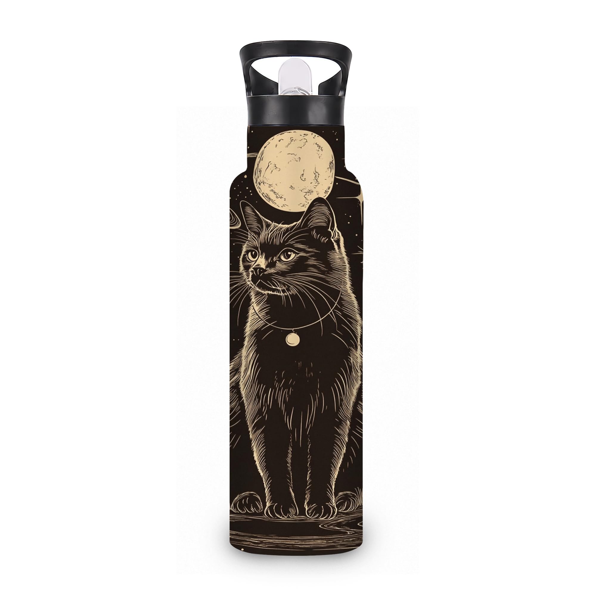 ICRICR Cat Insulated Water Bottle,Moon Stars Stainless Steel Water Bottles 20 oz with Straw Lid,Leak Resistant Double Wall Insul