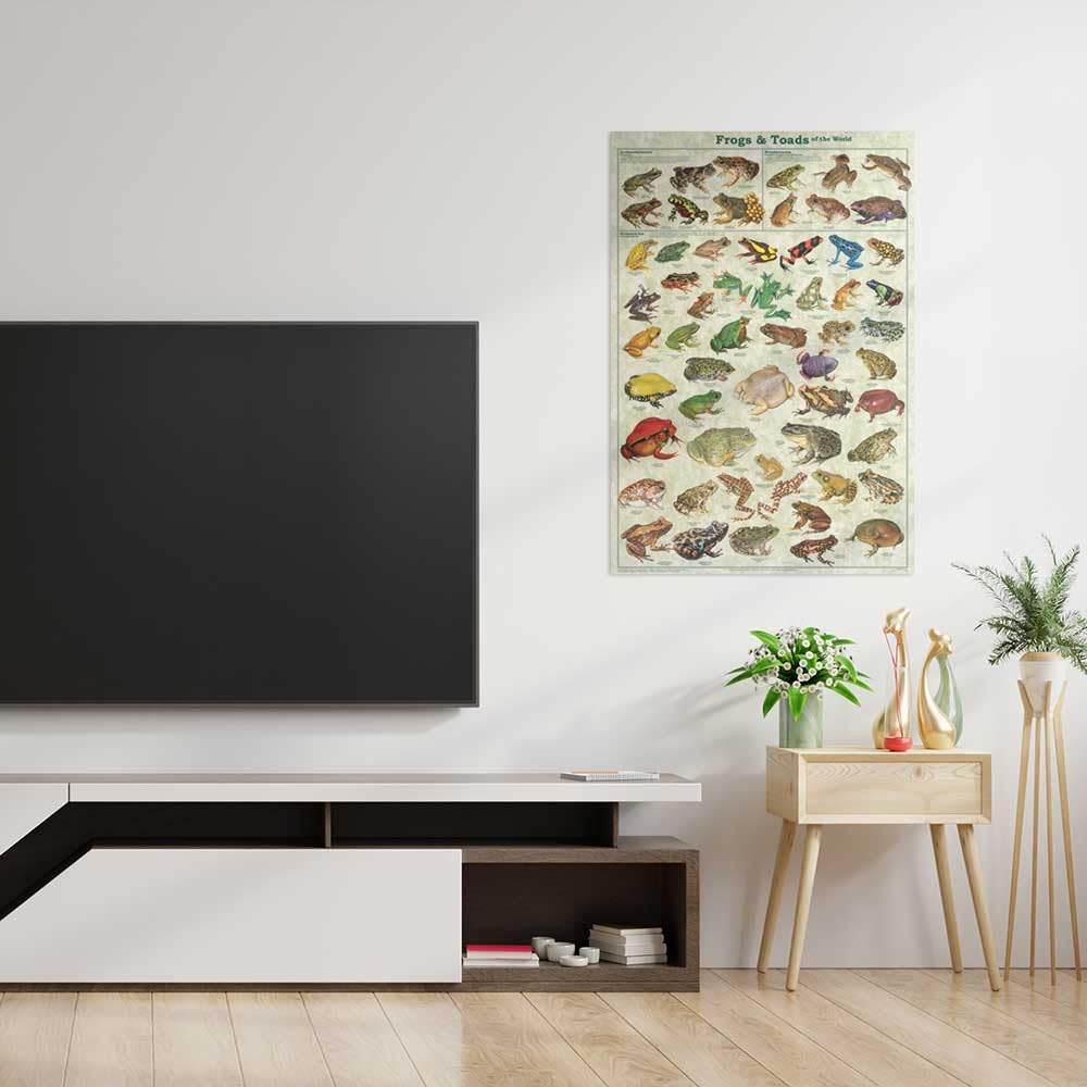 Frogs & Toads of the World Educational Science Classroom Chart Print Poster 24x36