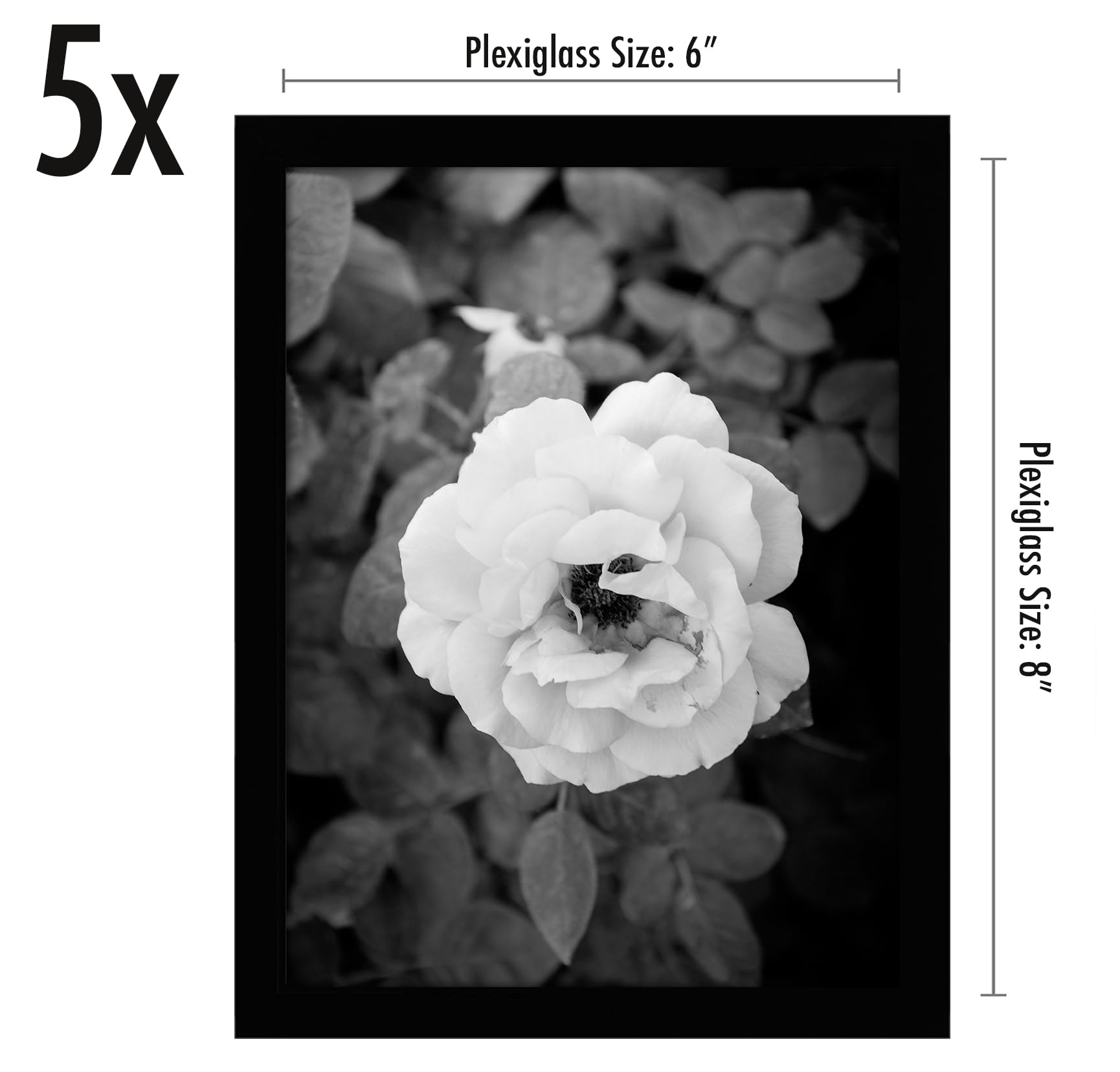 Americanflat 6x8 Picture Frame with Polished Plexiglass - Set of 5 - Galleria Collection - Picture Frames for Tabletop and Wall