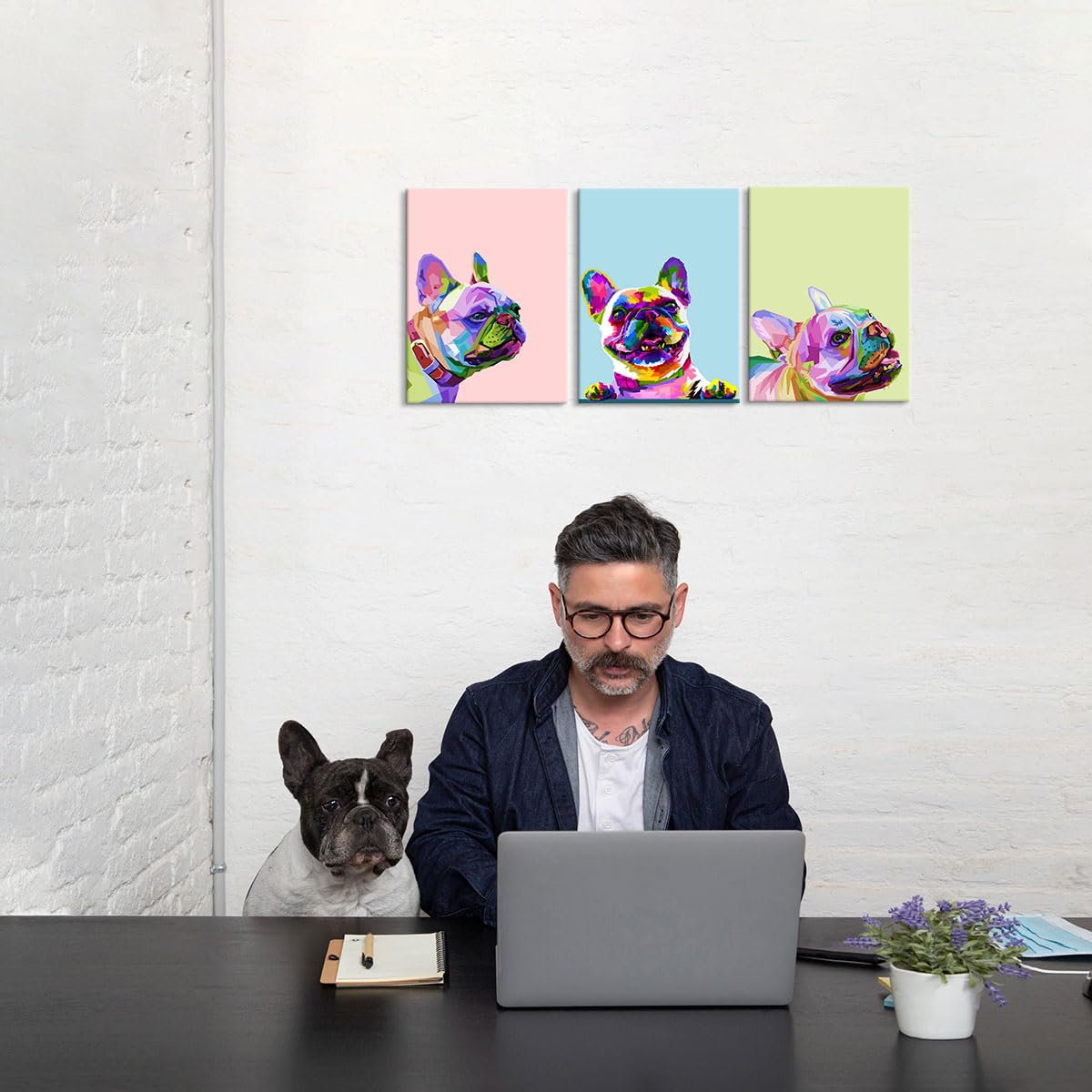 3 Piece Colorful Dog Wall Decor French Bulldog Wall Art Dog Decor Dog Room Decor Animal Wall Art Animal Posters Dog Wall Art Dog