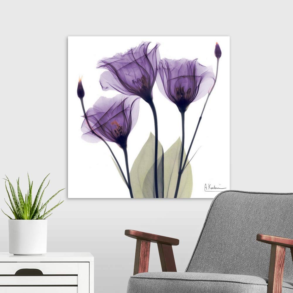Canvas On Demand Purple Flower Trio Canvas Wall Art Print By Albert Koetsier, Home Decor, Artwork, 24''X24''