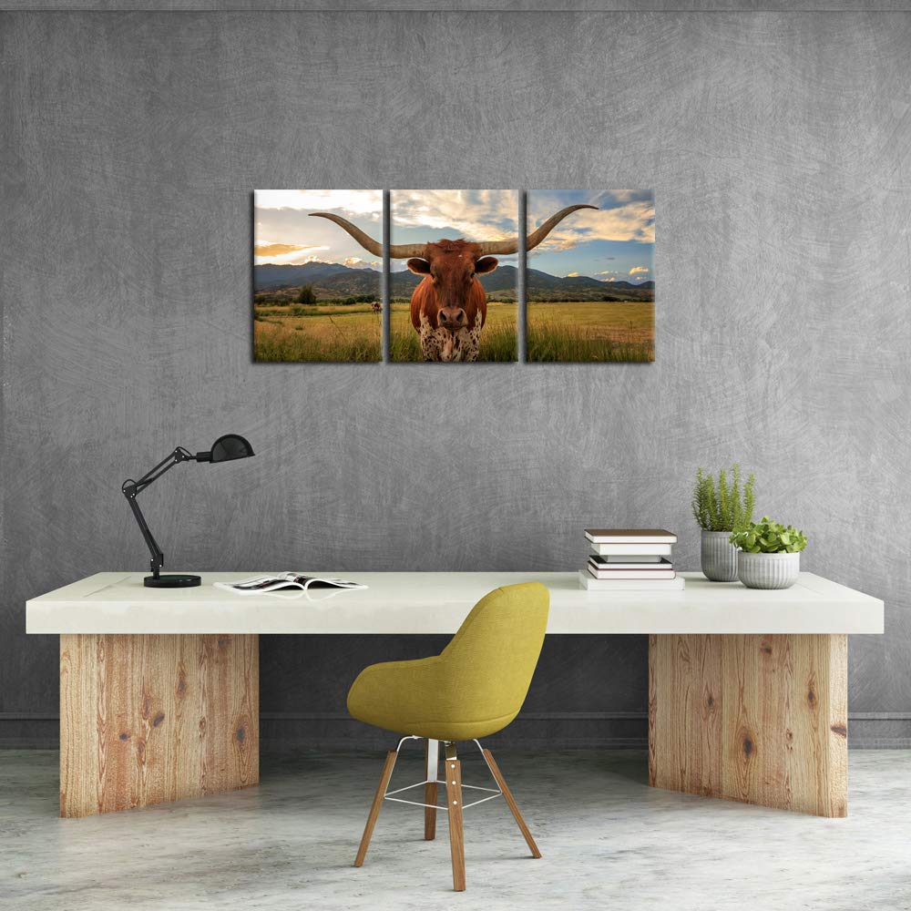Iknow Foto 3 Piece Highland Cow Canvas Wall Art Prints Longhorn Photo Contemporary Paintings Farm Animals Pictures Giclee Artwor