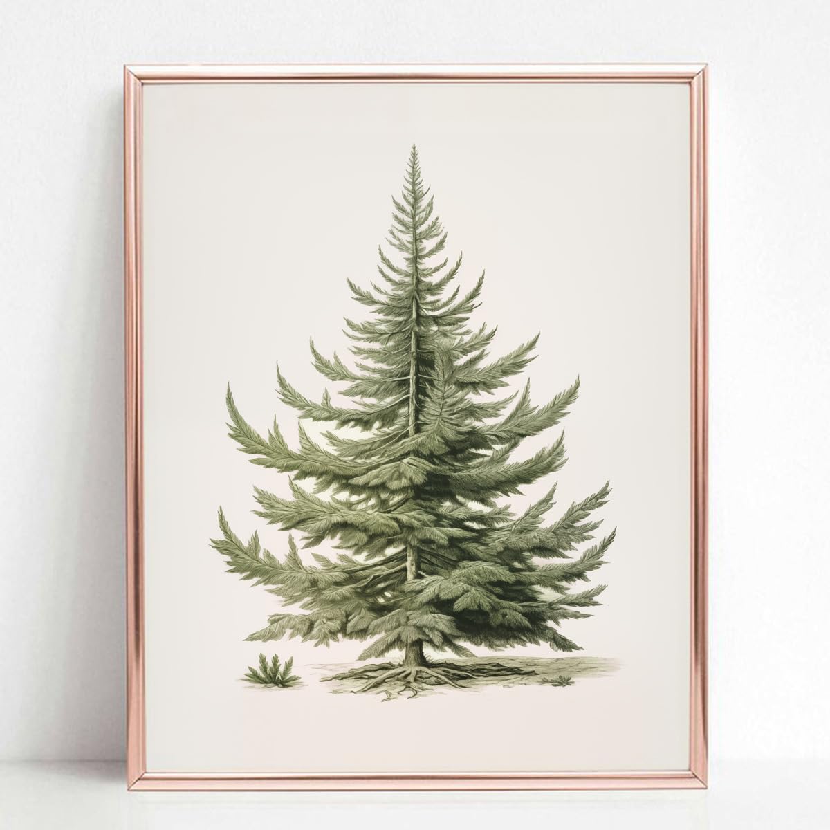 ZEARPT Christmas Tree Art Print, Vintage Fir Botanical Sketch, 11x14 inches, Pigment Inks, Unframed